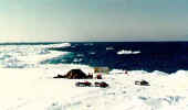 Camping on the Arctic Ocean