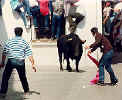 Spectators climb a barred window to get away from the bull