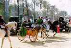 Jerez is famous for its sherry -- note the wine barrels